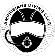 Amphibians Diving Club