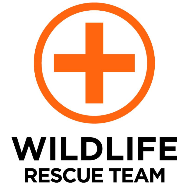 Wildlife Rescue Team Malta