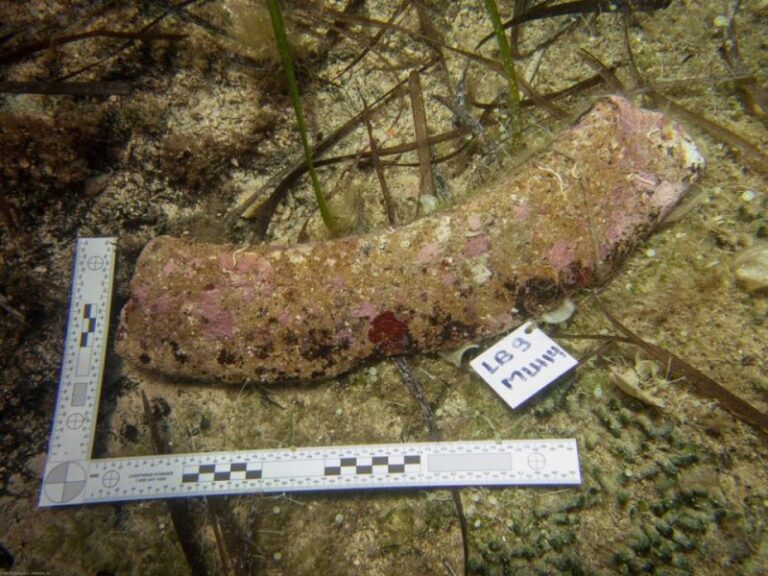 Mellieħa Bay Wreck – 2013-2014 survey and excavations report