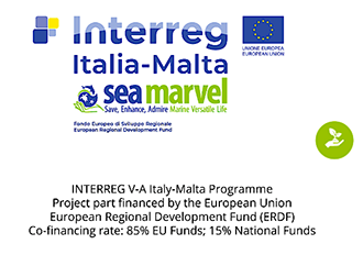 International Biodiversity Day: SEA MARVEL project continues marine research and monitoring