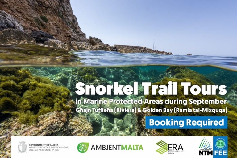 Snorkel Trail Tours by Ambjent Malta